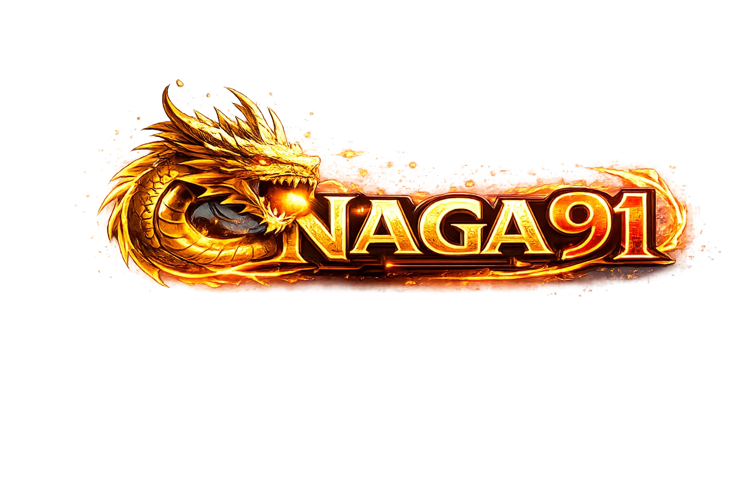 NAGA91 logo